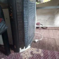 هود|هود|مشهد, خواجه ربیع|دیوار