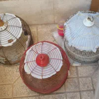 قفس|لوازم جانبی حیوانات|اصفهان, سپاهان‌شهر|دیوار