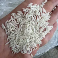 فروش برنج  درجه یک بدون دخلی