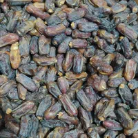 جهت فروش کیلو۱۴۵