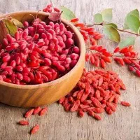 زرشک‌‌پفکی‌اعلا‌درجه‌یک