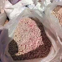 لوبیا چیتی امسال