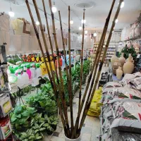 چوب بامبو ضخیم پایه گلدان استند سانسوریا یوکا پازل|گل و گیاه طبیعی|قم, ولیعصر|دیوار