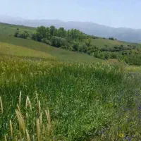 زمین به متراز ۲هزار متر