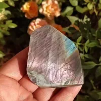 راف سنگ لابرادوریت