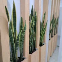 اجاره-کافی-شاپ-در-کارواش-مجموعه-پرواز