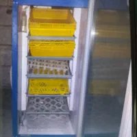 دستگاه جوجه کشی بلدرچین دماوند 210تایی