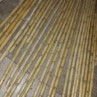 نی خام|سازهای بادی|تهران, زهتابی|دیوار