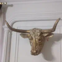 سر گاو رزین