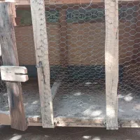 قفس مرغ وخروس