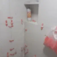 کاشی وسرامیک کار|خدمات پیشه و مهارت|تهران, آسمان|دیوار