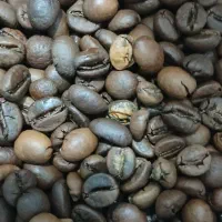 پخش و فروش انواع دان قهوه و پودری جات باکیفیت