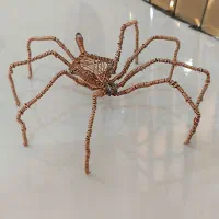 مجسمه سیمی عنکبوت