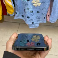 ایفون 13 پرومکس