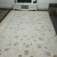 فرش در حد نو چند ماه پهن شده