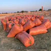 یونجه تابستان سرکره