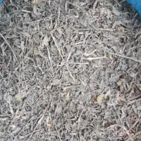 یونجه پر برگ