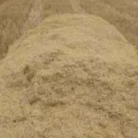 فروش کاه دیم