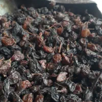 فروش ویژه کشمش شب چله هسته دار وبیدونه|خوردنی و آشامیدنی|تاکستان, |دیوار