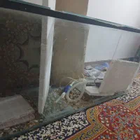 آکواریوم