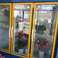 یخچال ویترینی