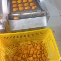 فلافل خانگی* 70درصد نخود درجه 1 *قیمت درب تولیدی