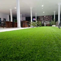 بازی پرسپولیس فقط طرفداران پرسپولیس ورودی رایگان