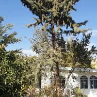 رهن کامل خانه ویلائی دربست فول بازسازی