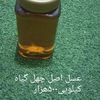 عسل|خوردنی و آشامیدنی|قم, دورشهر|دیوار