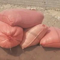 کاه یونجه وگندم فروشی|حیوانات مزرعه|شنبه و طسوج, |دیوار