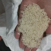 برنج طارم هاشمی درجه یک