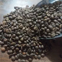 دان قهوه