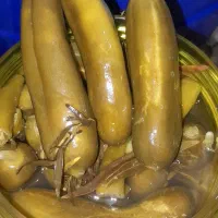 فروش خیارشور محلی با تعم مزه بسیار عالی|خوردنی و آشامیدنی|شیراز, دست خضر|دیوار