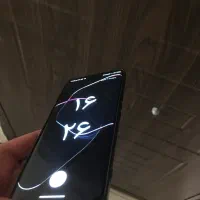 داریا‌ نسخه امارات