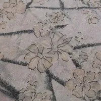 چادری نخی