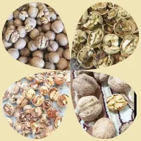 سبزی رب گوجه روغن گردو ترشی ادویه آبغوره انار