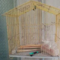 قفس پرنده