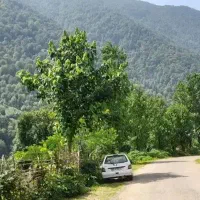 کارگر جهت کار تفرجگاه