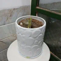 باسلام گلدان سفالی تمیز سالم