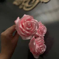 گل هدیه|گل و گیاه طبیعی|زابل, |دیوار