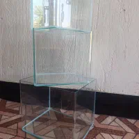فروش ویژه|ماهی|یاسوج, |دیوار