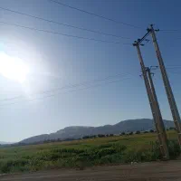 اجاره زمین کشاورزی با آب چاه در کرک سفلی