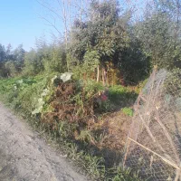 زمین شخصی واقع در شفت|فروش زمین و ملک کلنگی|رشت, بازار|دیوار