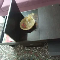 میز جلو مبلی|مبلمان خانگی و میز عسلی|ساری, |دیوار