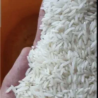 برنج طارم هاشمی