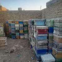 کندو زنبور|عمده‌فروشی|کاشمر, |دیوار