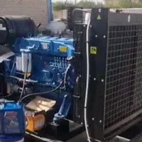 دیزل ژنراتور ۳۰۰ کاوا بادویین /ولوو