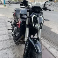 benelli 310 1403