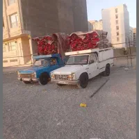 راننده قالیشویی با سابقه کاروتعدادی نیسان