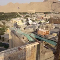 کبوتر|پرنده|فولادشهر, B1|دیوار